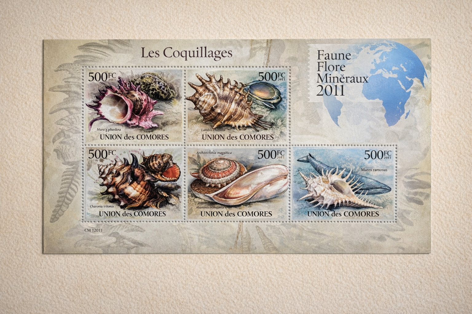 Timbre les coquillages des Comores